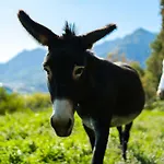 Montebello Bed & Breakfast Lecco