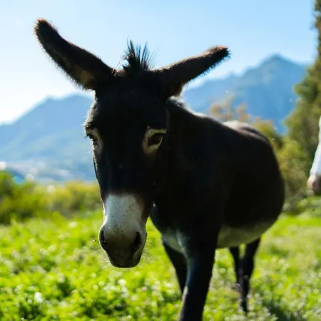 Montebello Nocleg ze śniadaniem Lecco