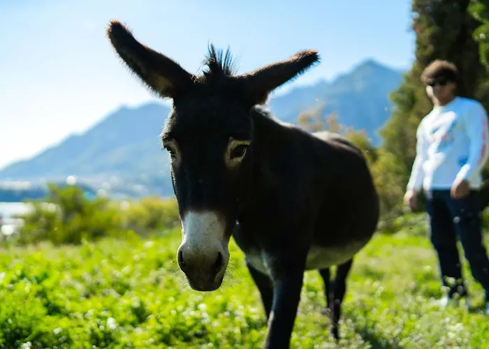 Montebello Frühstückspension Lecco